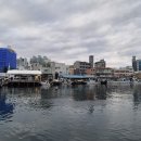 속초갯배 이미지