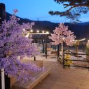 욜라뽕따 글램펜 이미지