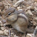 고원아파트 이미지