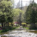 지베르니 이미지