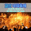 2023 함안 낙화축제 그나마 덜 고생하고 낙화놀이 보고 온 후기