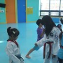 정도태권도체육관 이미지