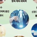 힐링궁 이미지