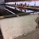 삼사낚시터 | [영천/고경] 영천 삼사낚시터(하우스) 붕어 잉어 향어 메기 손맛터 🎣