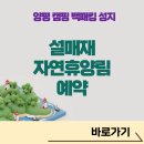 설매재자연휴양림 야영장 | 양평 설매재 자연휴양림 백패킹 숲속의집 예약 꿀팁