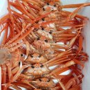 연지구이 이미지