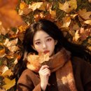 묘정