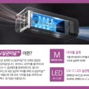 AMA 태권도장 이미지