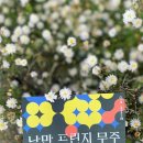 안성면 행정복지센터 이미지