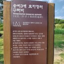 배재대학교 정보통신대학원 이미지