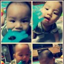 어화둥둥 내강아지 이미지