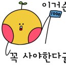 효성농원