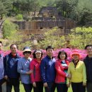 아랫대티 숲 이미지