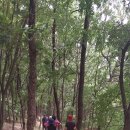 한밭수목원 서원 이미지