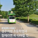 전동차나라 | 초등학생과 경주 여행 중이라면 꼭 타야할 &lt;비단벌레전동차&gt;