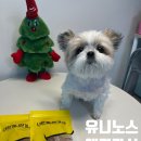 (유)청십자 동물약품 | 강아지간식 유니노스 닭가슴살간식 추천