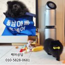 동남세탁 이미지