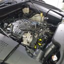 뉴인제카 이미지