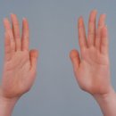 스크랩] [자료] 한방정보 혈관 질병 ``손·발 저림``은 어혈치료를 이미지