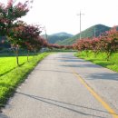 향암미술관 이미지