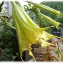 엔젤 뷰티 이미지