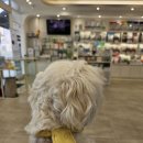 해원 동물병원 이미지