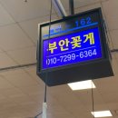 부안꽃게1 이미지