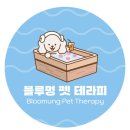 멍이펫 이미지