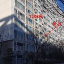 책향기로(1) 네이버블로그