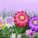 이룸독서실 이미지