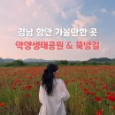 우혜공원 공중화장실 | [공지] 함안 악양생태공원 악양뚝방길 꽃구경 후기(실시간 개화현황, 주차, 주변 맛집)