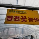 청천농원
