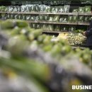 밥상스토리 이미지