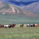 초야목장 이미지