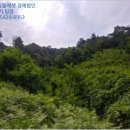 강릉JC 이미지