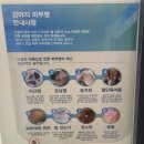 댕댕스토리 이미지