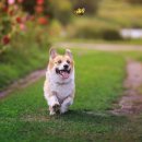 성수동물병원 이미지