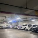 상남동295 이미지