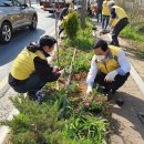 양정동 주민센터 이미지