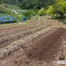 김태종농장 이미지