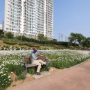 도농체육공원 이미지