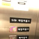 테일러테일러