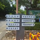 옥룡면 백운학생야영장 주차장 | 7월 광양 가볼만한곳 산좋고 물좋고 공기좋은 백운산자연휴양림