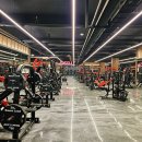 지젤피트니스클럽 이미지