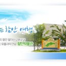 함안 수곡리 청송심씨 퇴휴당 종중 문서류 | 1. 함안군 문화제 현황