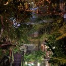 짐케이(GYM K) | 가족여행 중 4박 5일 이용한 다낭 가성비 숙소 ‘K House vs Apartment’ 내돈내산 숙소 후기