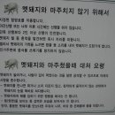 산행 중 멧돼지를 만났을 때는 이미지