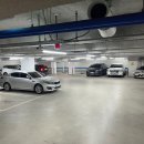 새로이 핏 이미지