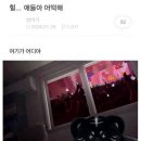 호피 무늬 걸친 가짜들 판쳐 : 비범 BE범 콘서트 후기