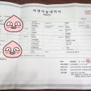 서울 → 부산, 롯데렌터카 카니발 9인승, 41시간 편도반납 비용